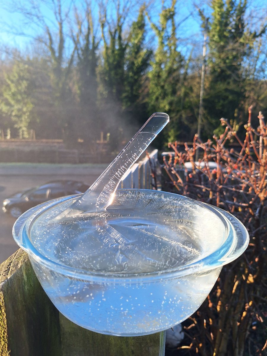 Foxster77 tweet media