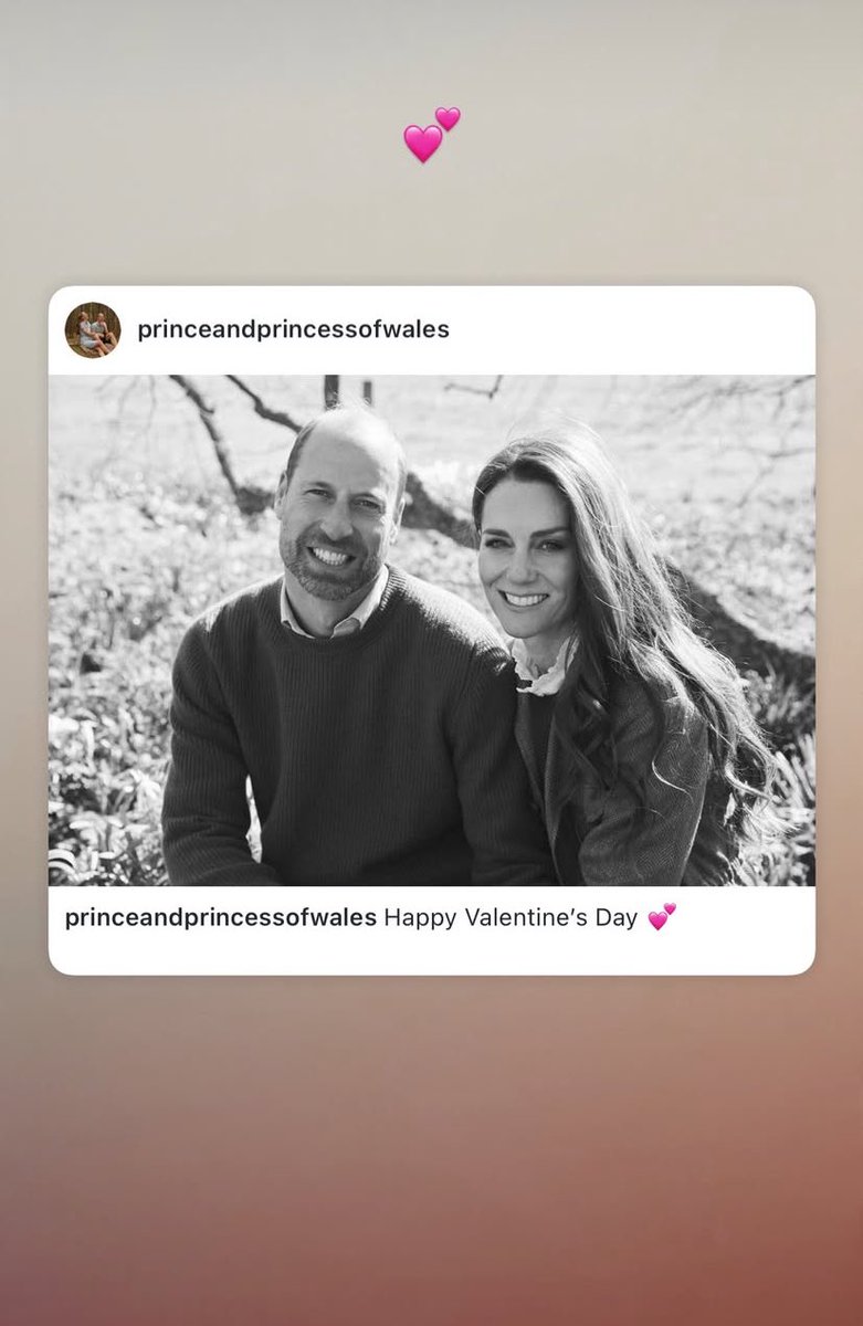 I still love the Instagram format. The Prince and Princess of Wales picture for Valentine’s Day. Taken last April in Norfolk by Josh Shinner.
