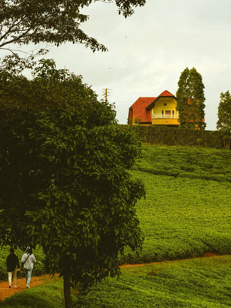iamalexkamau's tweet photo. Spotting nice houses in Tigoni 🏡 https://t.co/5ZBvUGqzaR