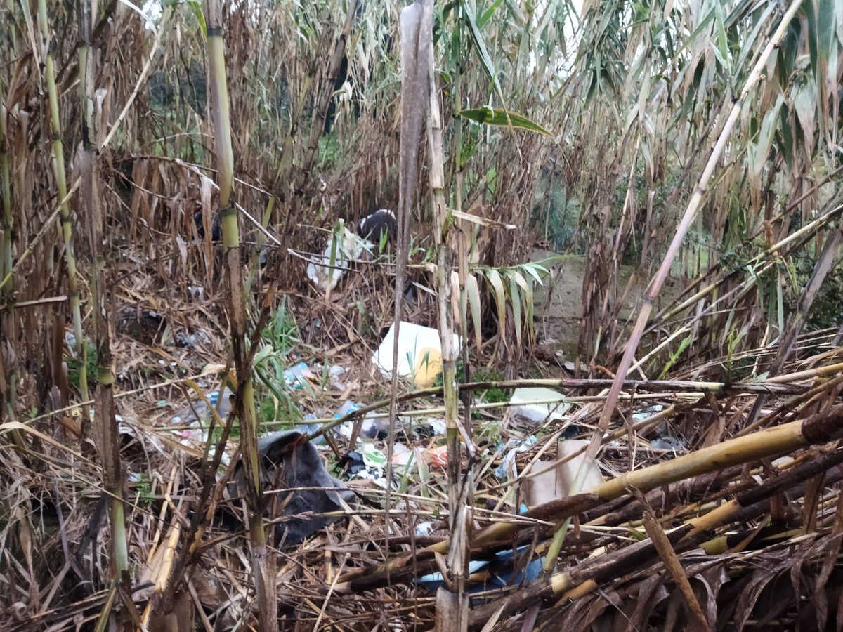 Gràcies a les denúncies veïnals ens arriba, que abocadors que ja pensavem superats, tornen. Aquesta vegada en forma de deixalla contemporània. Cal que l'Ajuntament no només netegi, cal que controli. N aquest cas diuen que és terreny privat i que no pot Fer res. Què penseu?