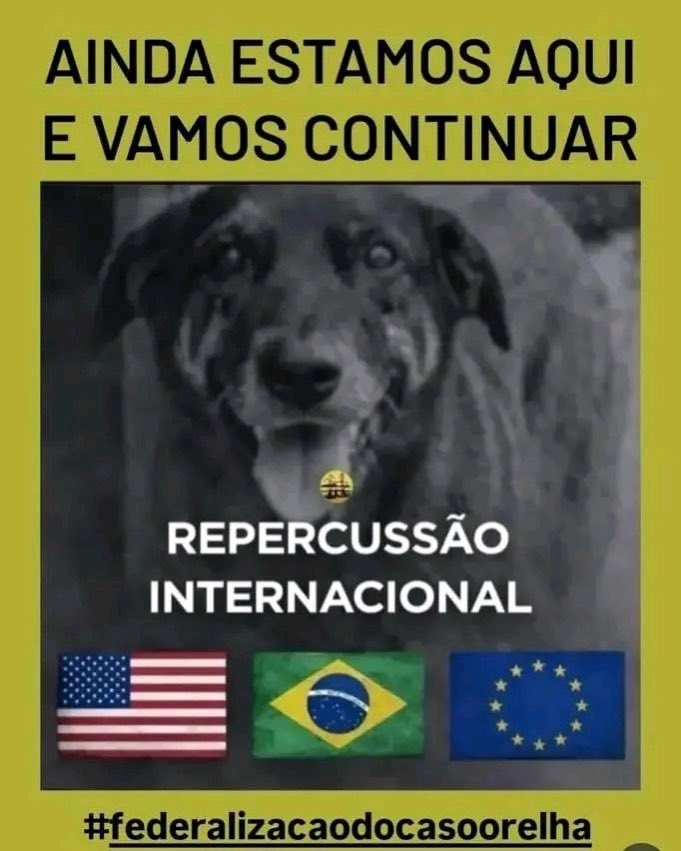 naimar_da's tweet photo. Ainda estamos aqui

#BRAZILFORORELHA https://t.co/EprLmS3rOd