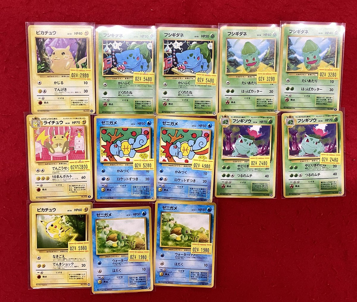 ポケモンカードゲーム ポケカ 販売情報】 旧裏イントロパックのカード