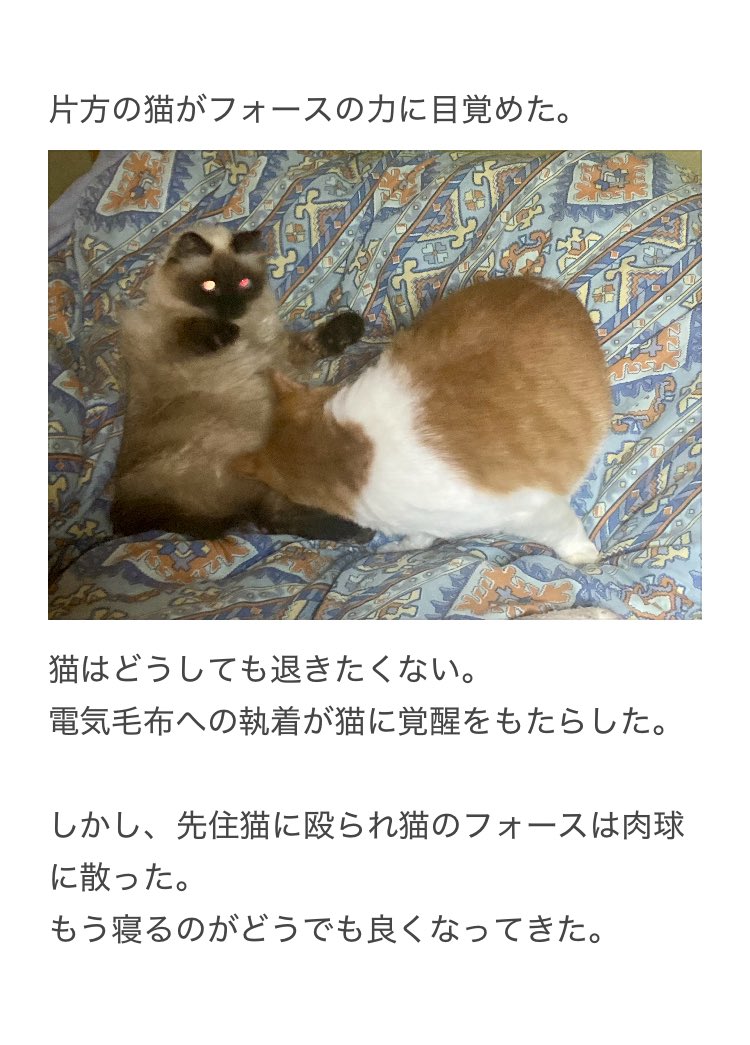 やーこ (@yalalalalalala) / Posts / X