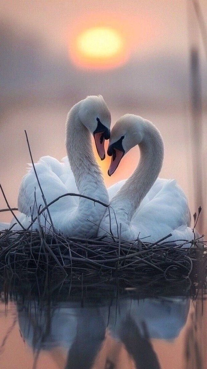 Lara😘 tweet media