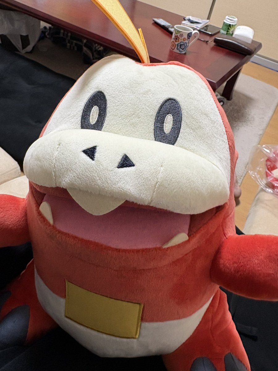 ホゲータ！！！
やっとお迎えできたよ！
かわいい！！！