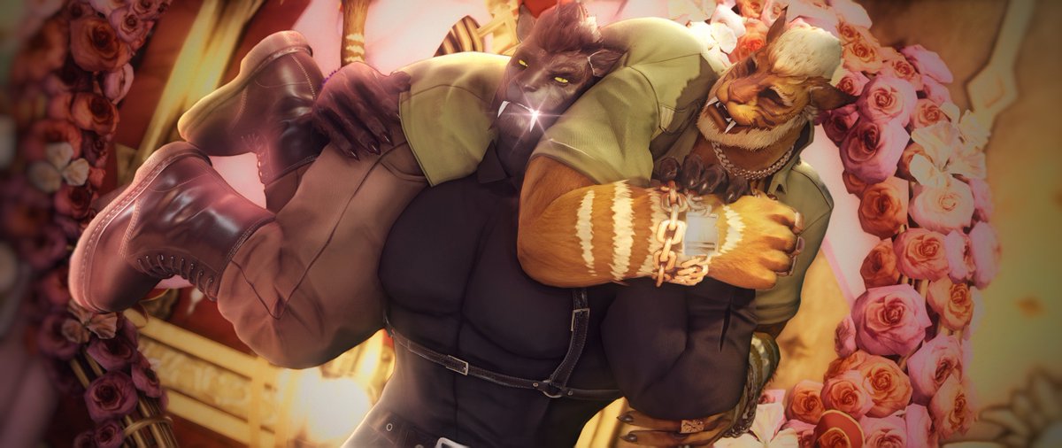 Roran 🦁 tweet media