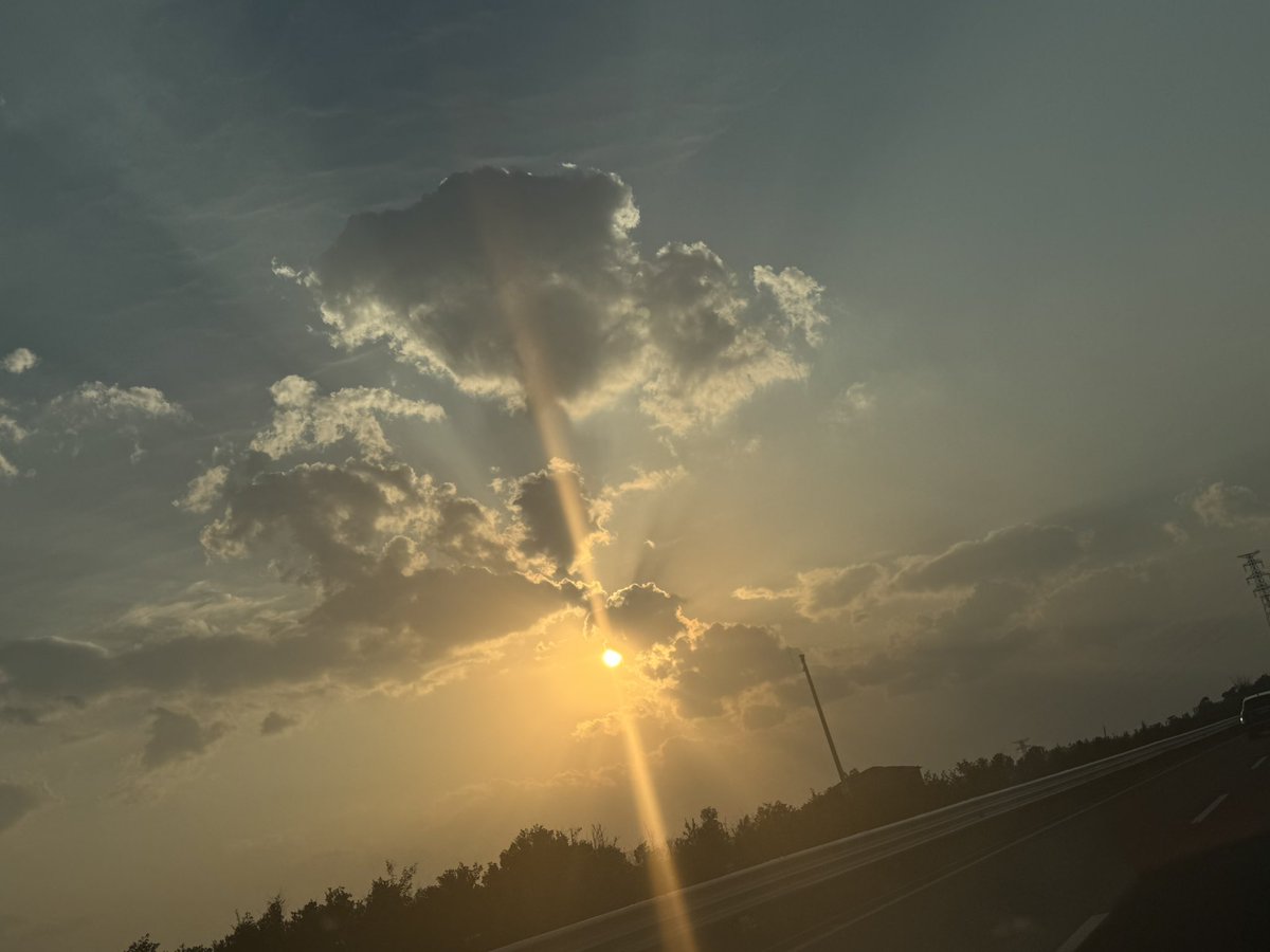 linbo967's tweet photo. Scrolling through my photo album, I stumbled upon a few photos I took last year — a little angel gently stroking a dog with a ball in its mouth. And suddenly I was right back in that moment. A few of us friends had driven out to get some barbecue, the sun was setting, and when I looked up, there it was — that exact scene. So take more photos. They’re anchors for your memories.