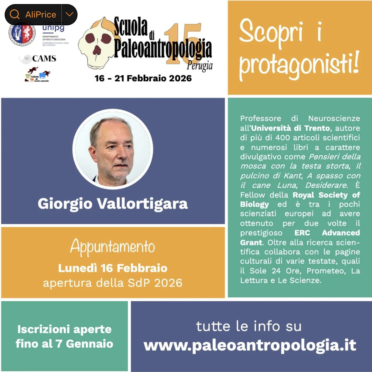 Giorgio Vallortigara tweet media