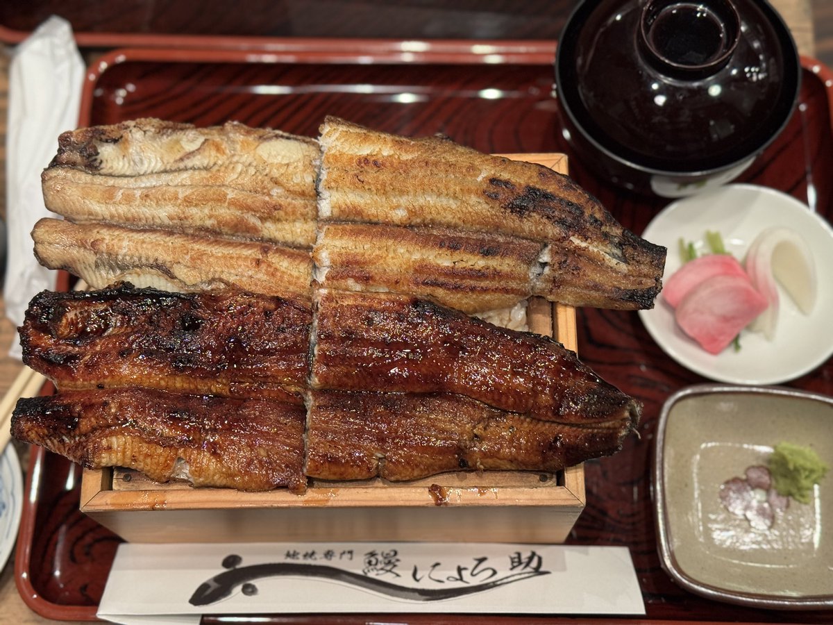 おかぴ (@okapi_poke) / Posts / X