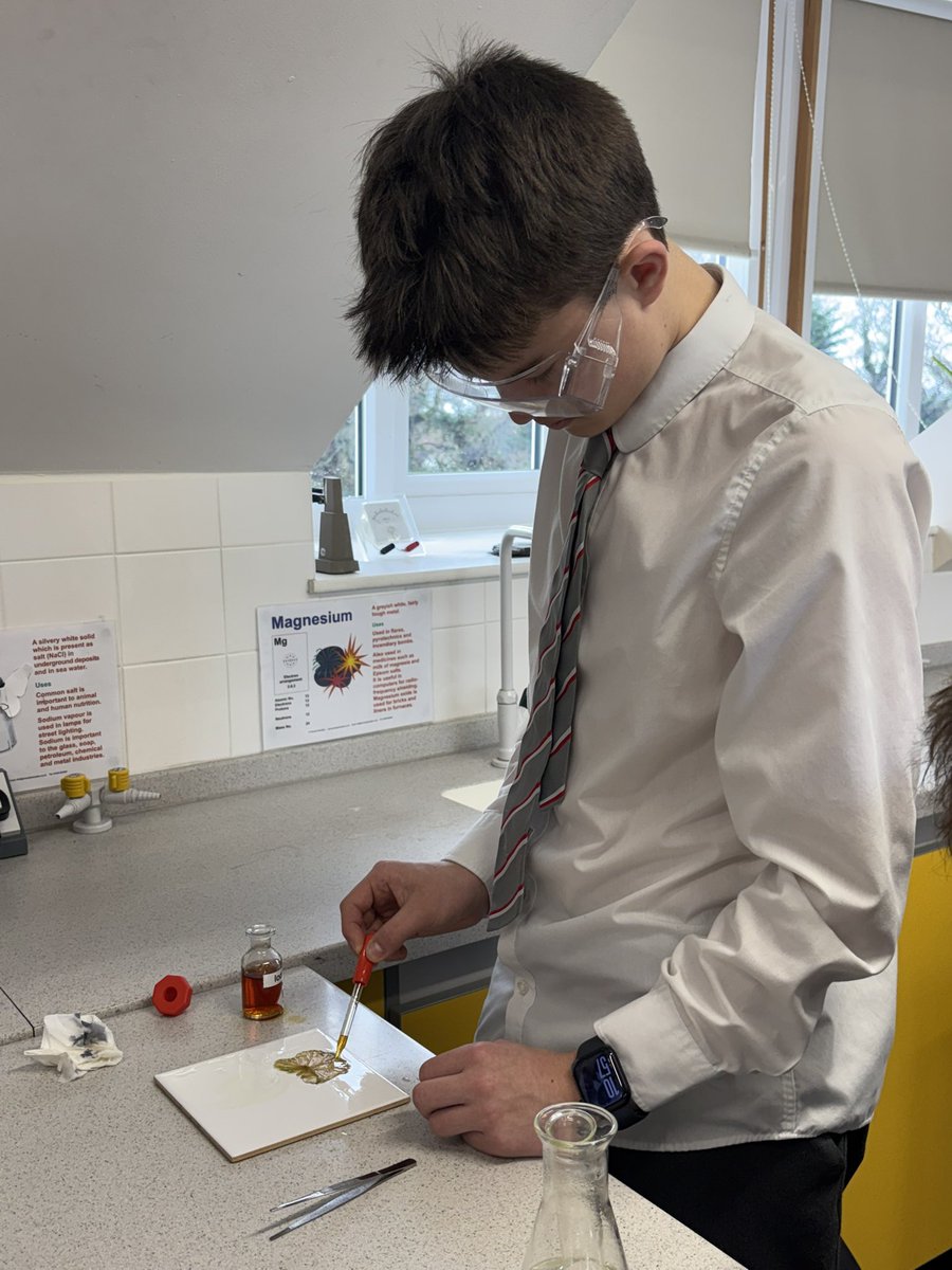 STEM | Durlston School tweet media