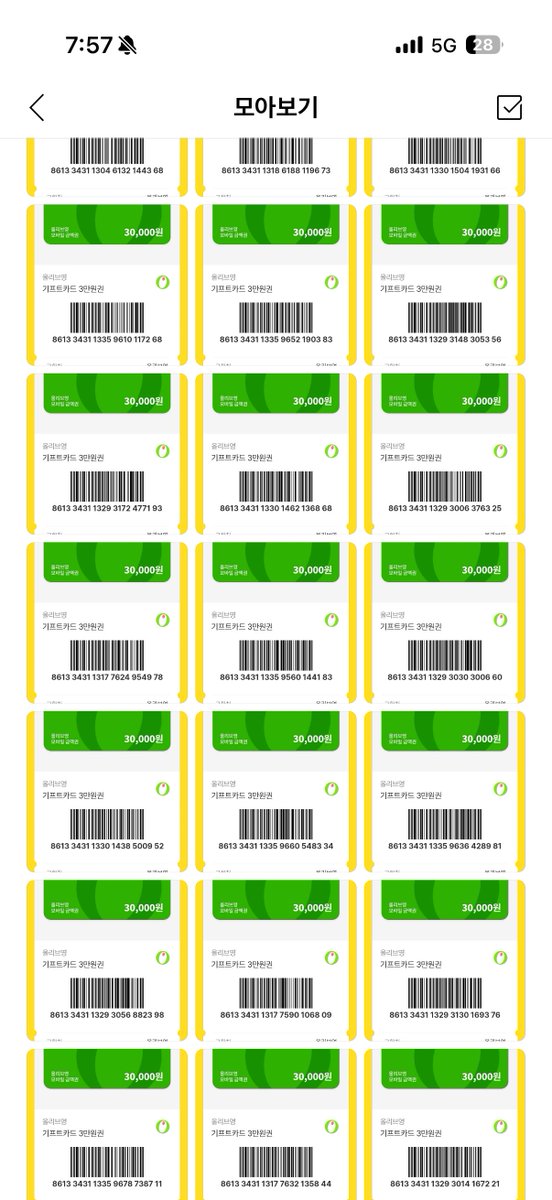 라미｡ tweet media