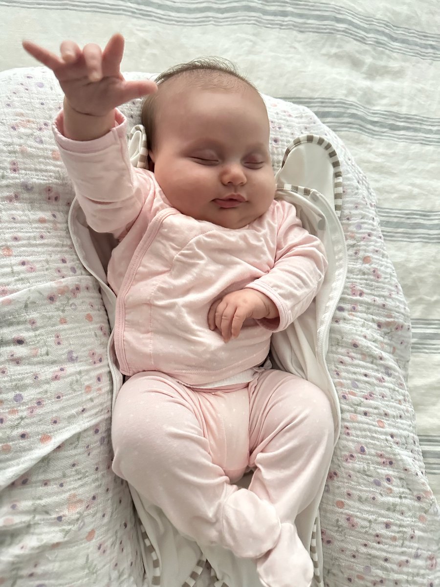 Michael Fiddle tweet media