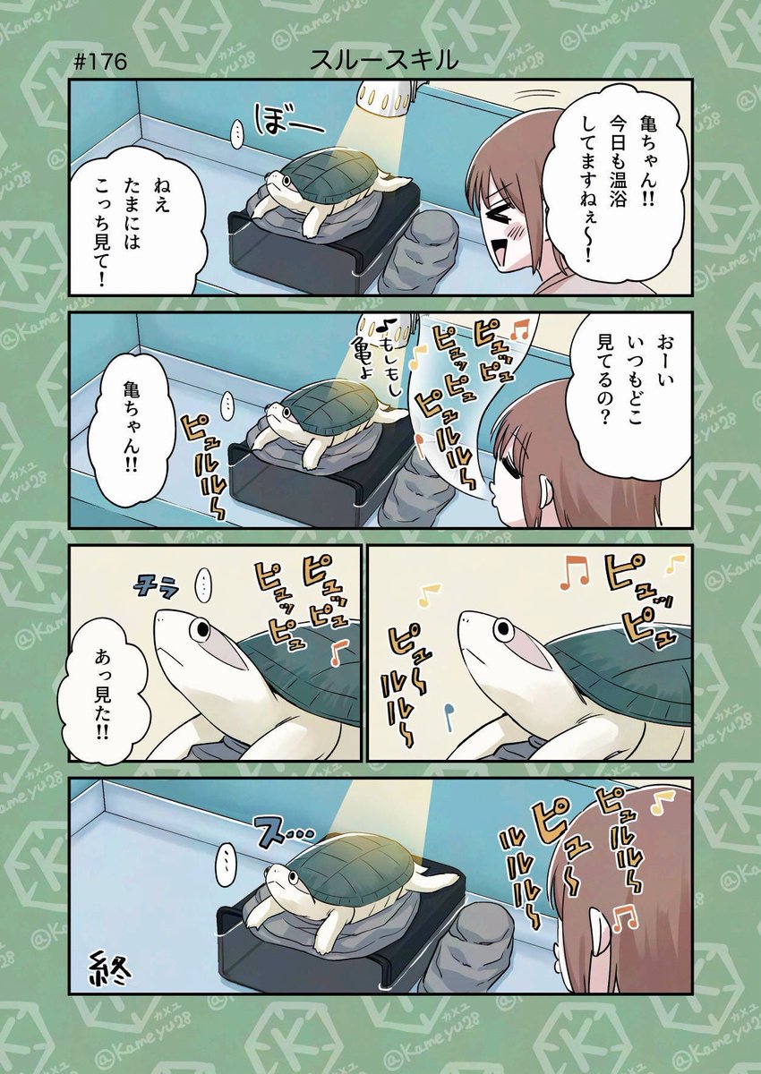 亀飼い漫画「スルースキル」 