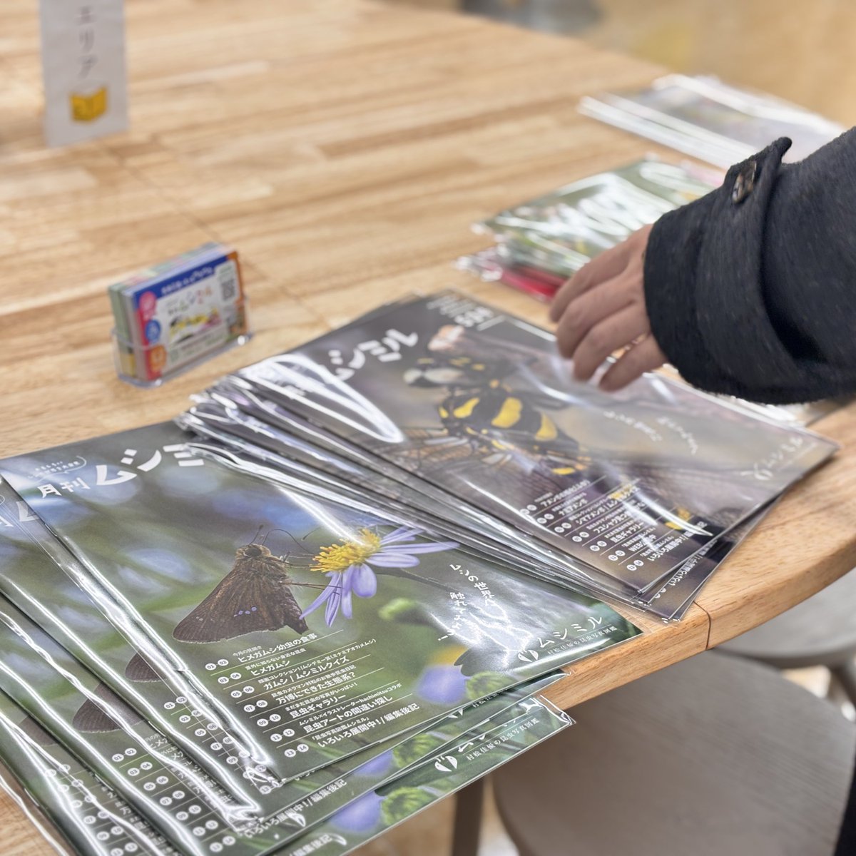 堀江晃一🔥取材ライター・編集者 tweet media