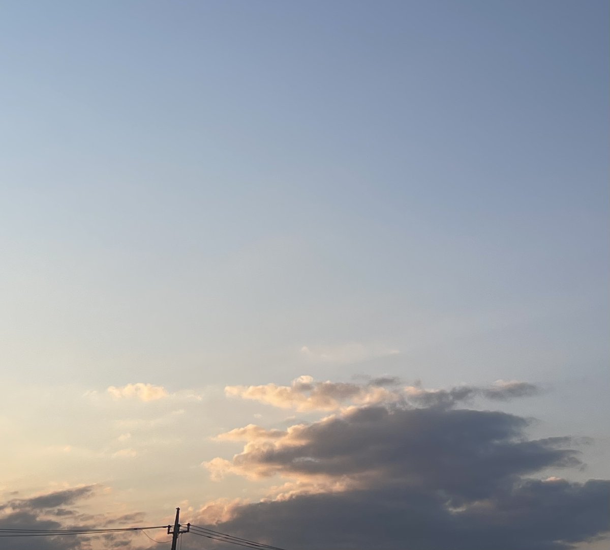 pasapasashrimp's tweet image. 生チョコ初めて作ってみた₍՞◜︎︲⩊︲◝︎՞₎🩶

#日常垢 #お菓子作り #HappyValentines