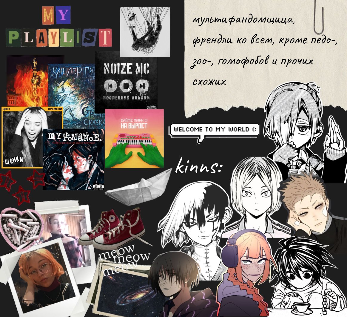 кошка работает. tweet media