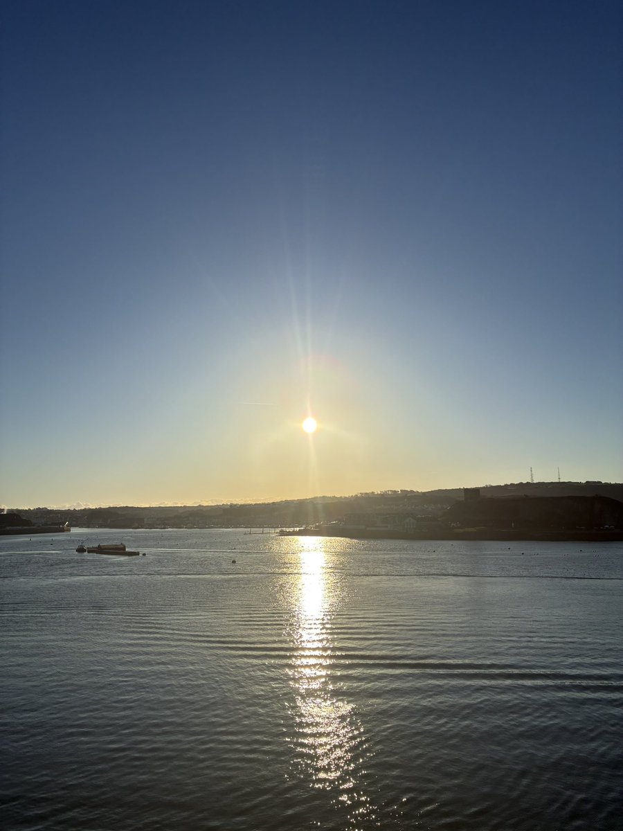 Claire Doyle tweet media