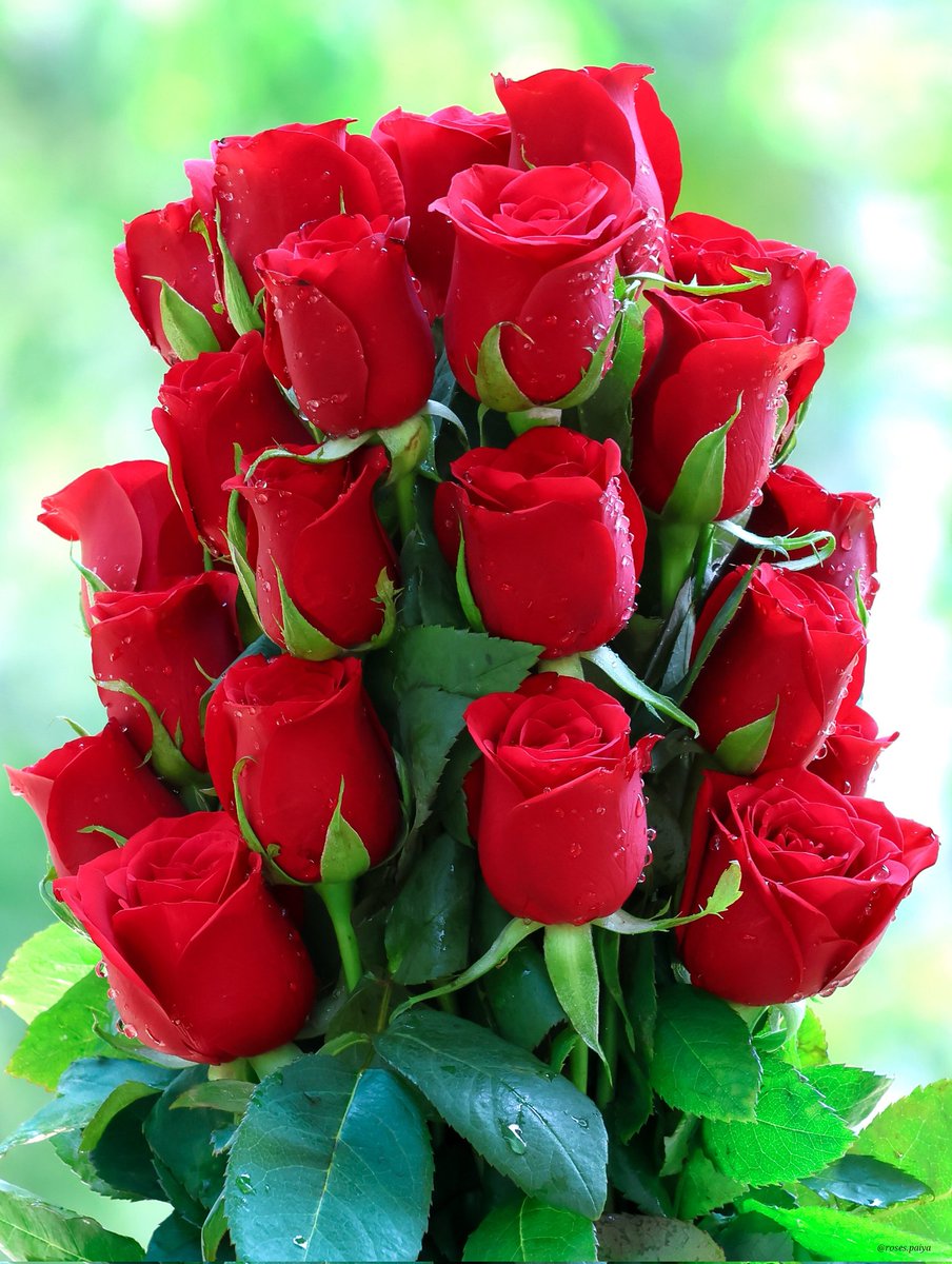 Happy Valentine's 💘 to all my followers!
Thank you guys for creating that safe space here on X for me with your Likes report replies etc, I thoroughly appreciate y'all 🕊️. Do y'all have a wonderful 🎊