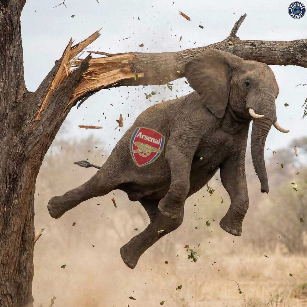 Story of every season 
Football is wild bruh😭