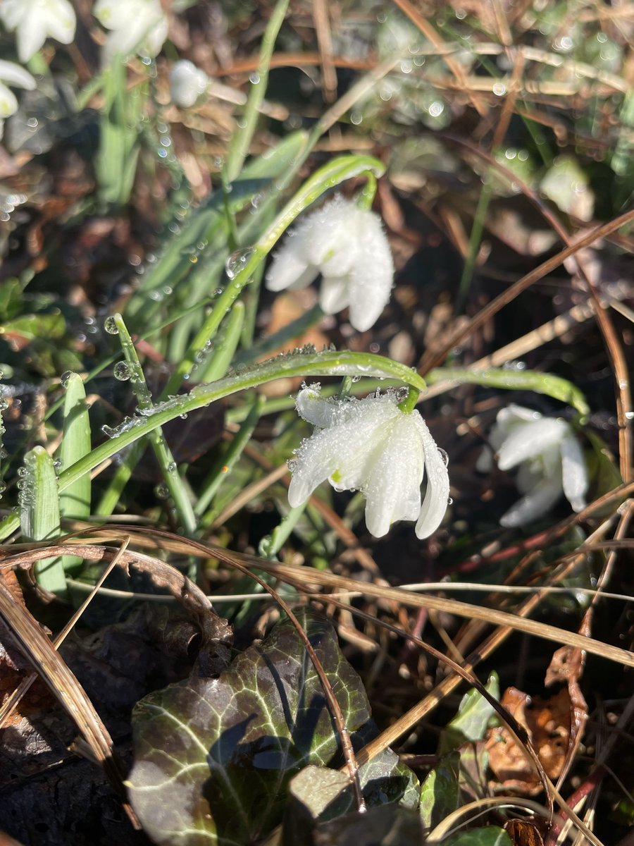 Lucy Hunter Blackburn tweet media