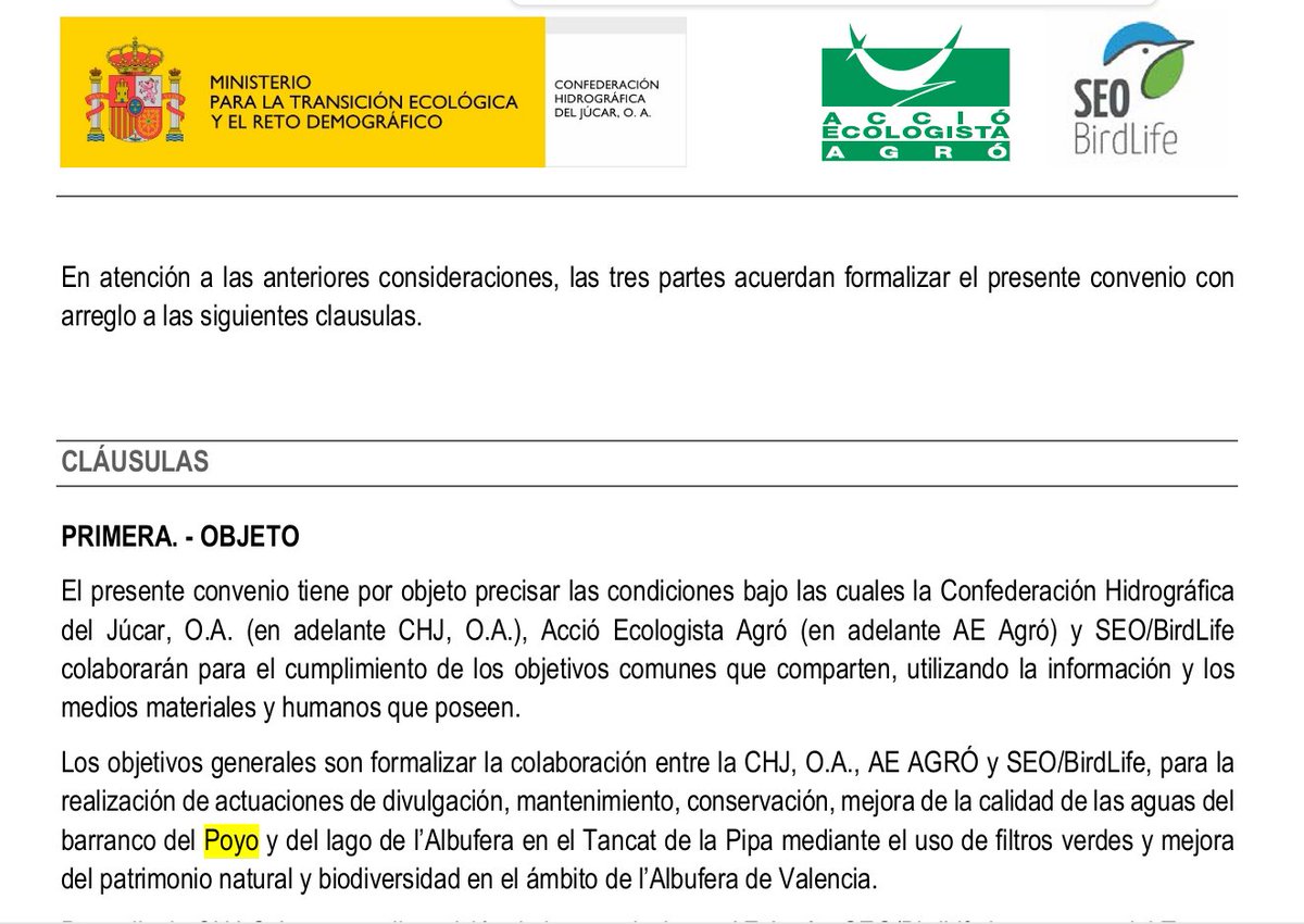 Guillermo Rocafort tweet media