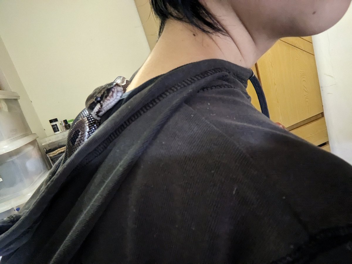 一個人在家背小孩的情人節