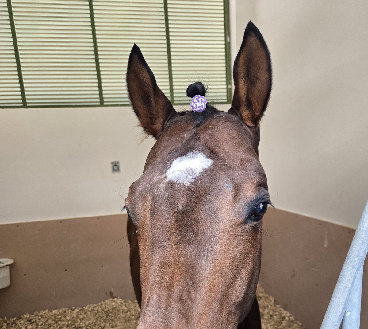 たまこ (@egg24k) / Posts / X