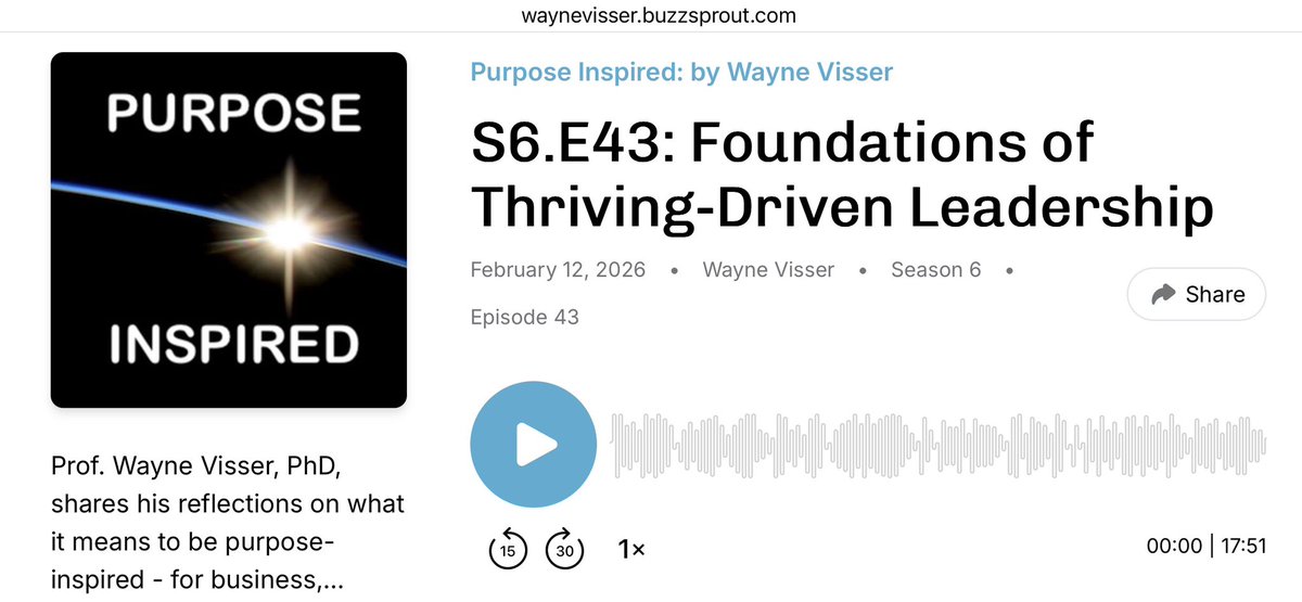 Wayne Visser tweet media