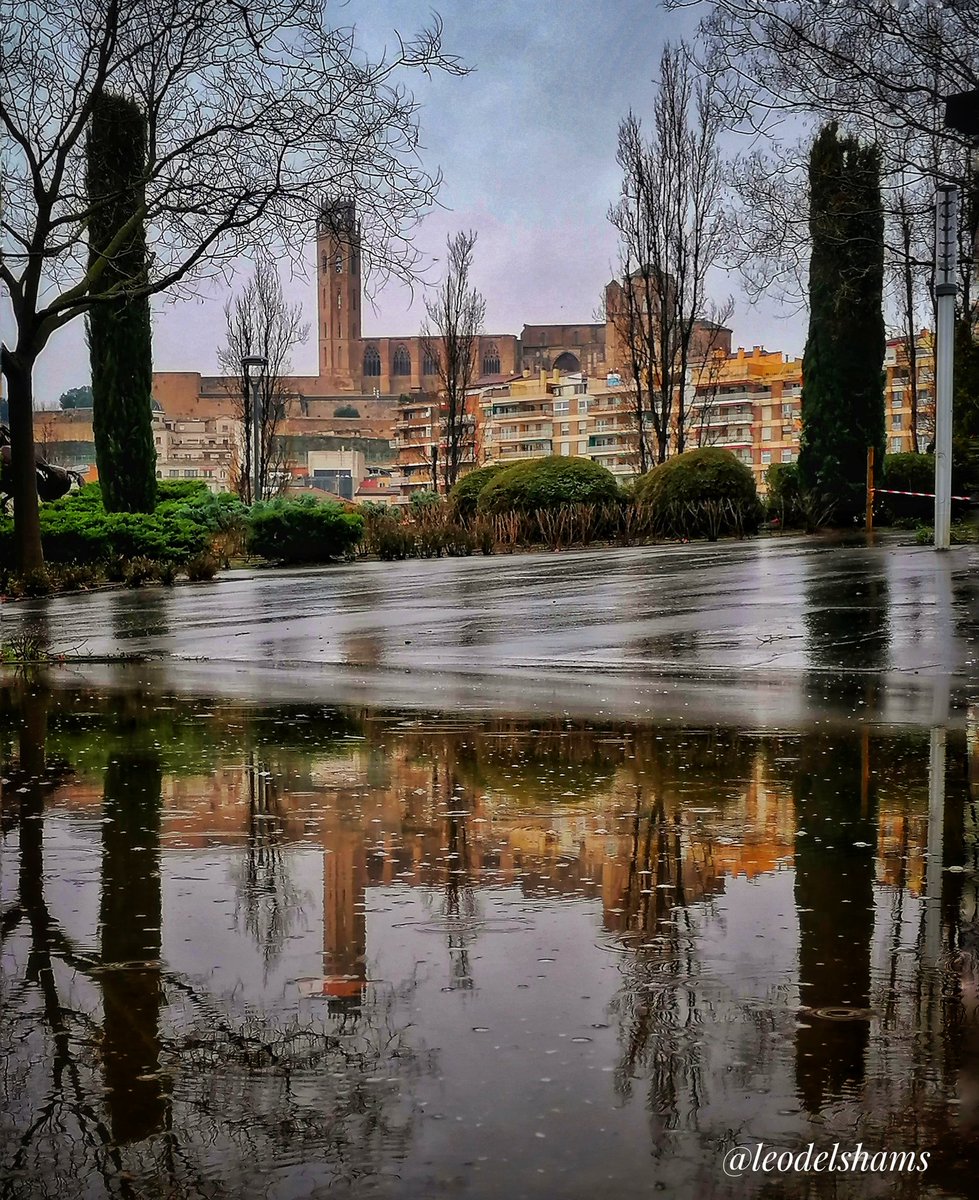 Lleonard Delshams Valdes tweet media