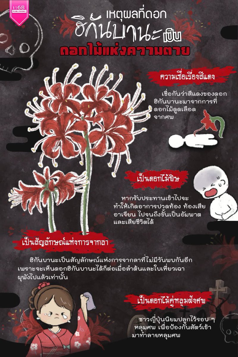 lavieskrit's tweet image. ดอกในภาพคือดอกฮิกันบานะ เป็นดอกไม้แห่งความตาย การจากลา เป็นดอกไม้ที่นิยมวางไว้ที่หลุมฝังศพ

คือเพลงรักจริงมั้ย
#guiltypleasure