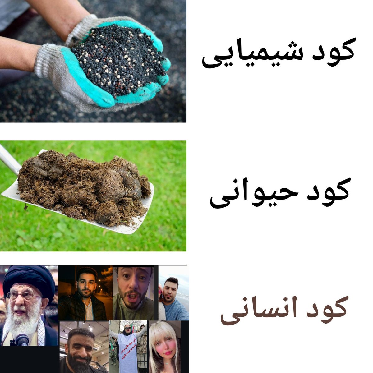 Heisenberg_185's tweet photo. انواع کود :
#KingRezaPahlavi 👑 https://t.co/jYe5cKWz4v