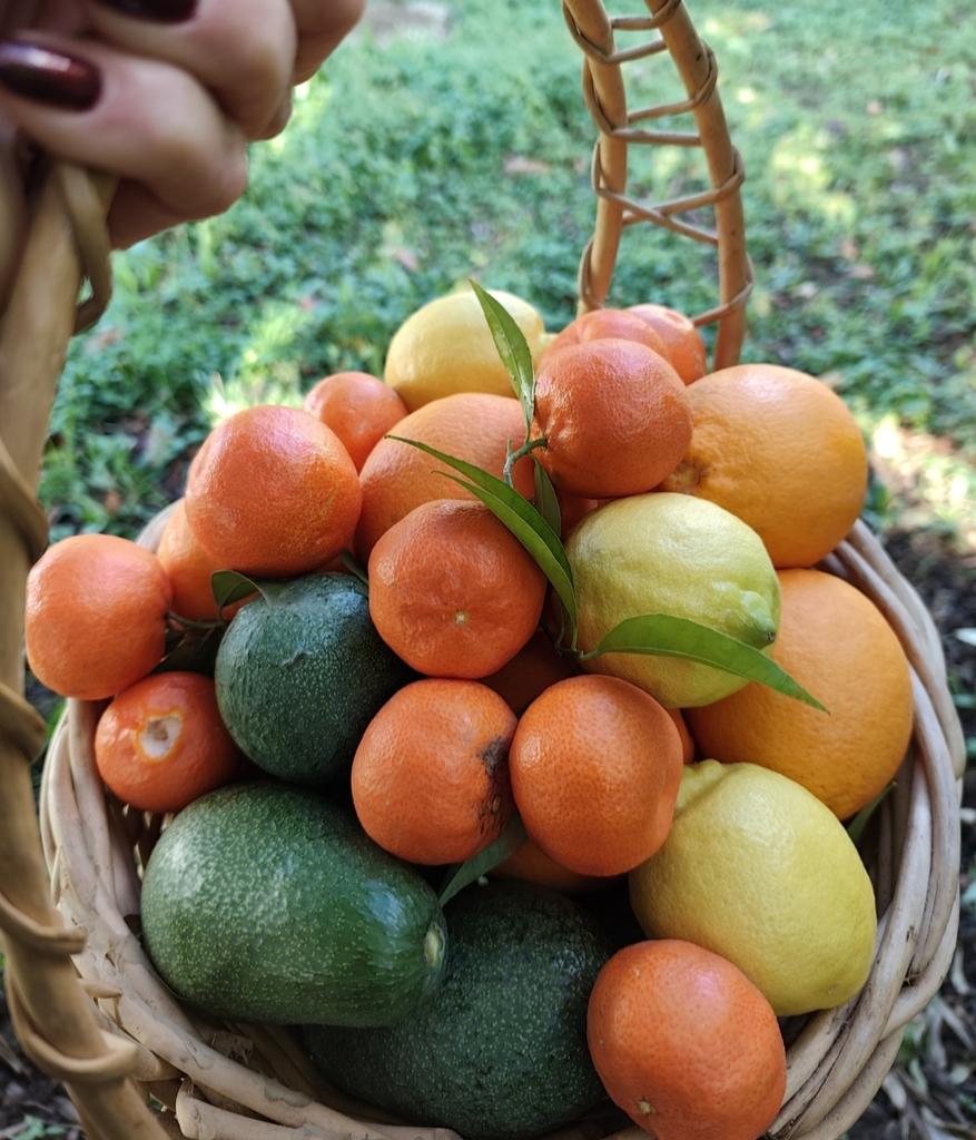 Να ομορφαίνει η μέρα μας 🥳