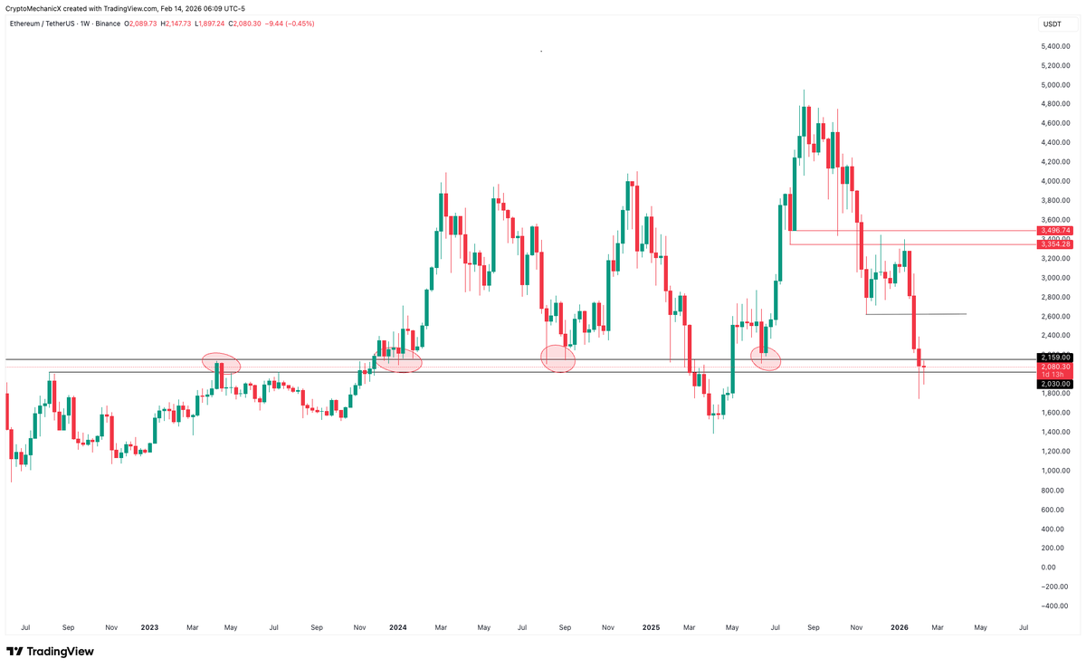 Crypto Mechanic tweet media