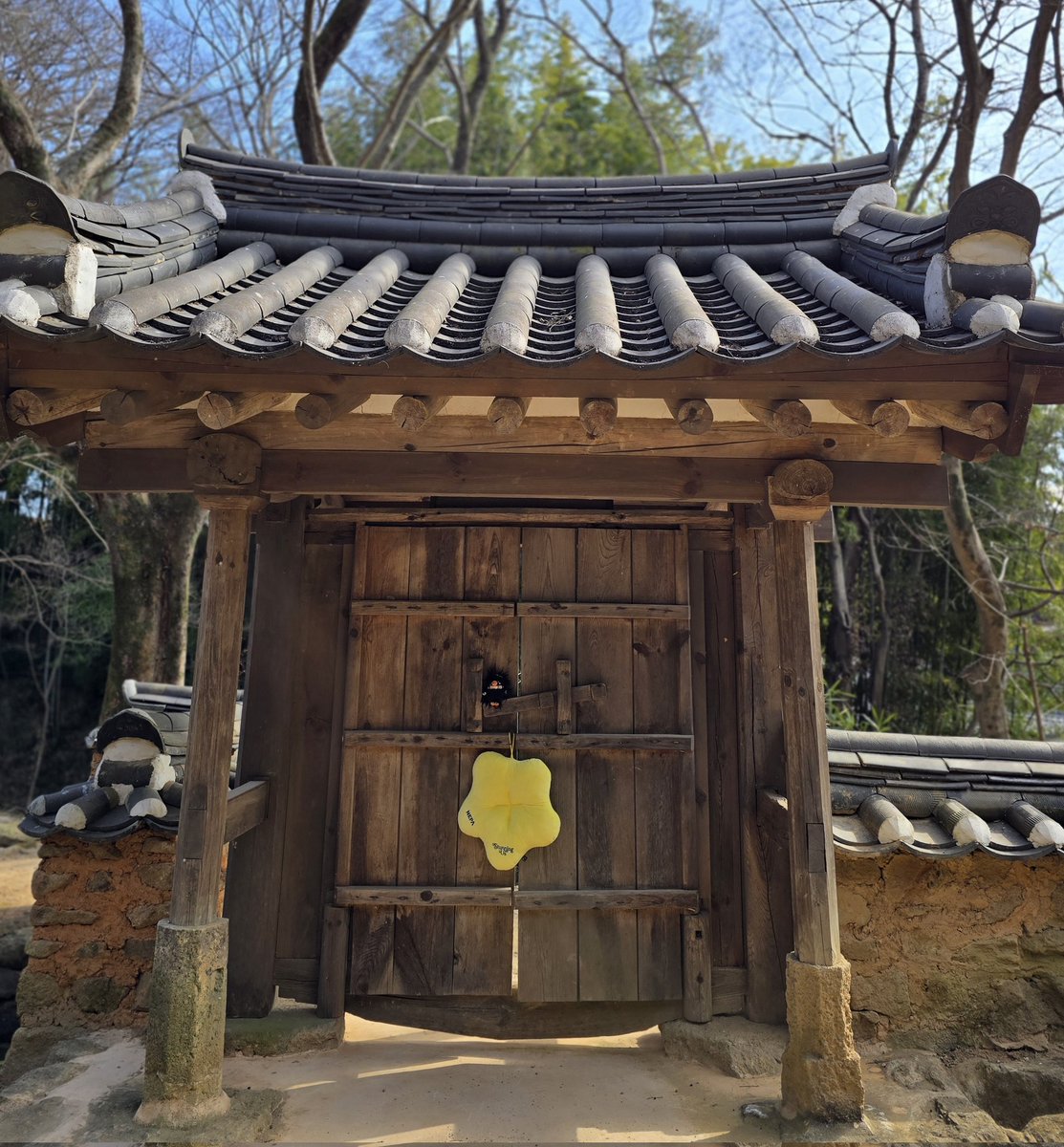ㅇㅍㅇㅈ  🌻 
커피라이커스 ->  혜민당 ->  열화정
