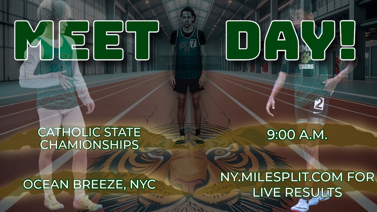 TimonRUNS tweet media