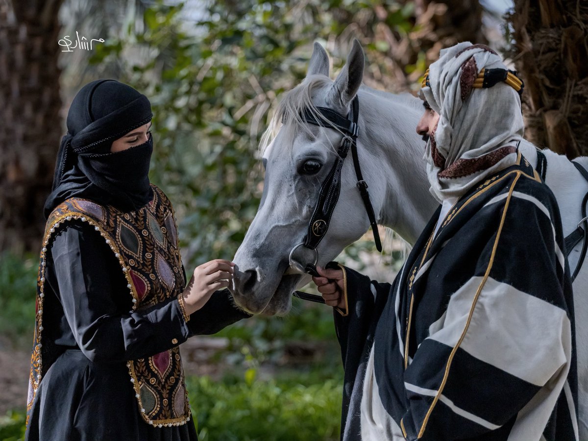 Meshari Al-Jammani tweet media