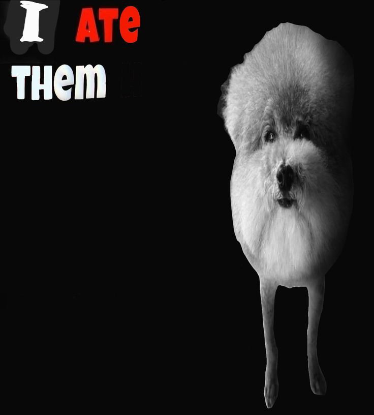 sh3dtwt_V1ct0r's tweet image. "Where are all the calories"