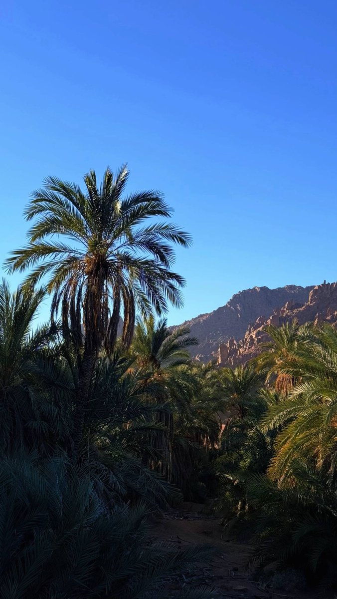 🌅 عروس الشمال "حائل"