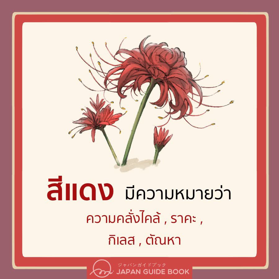 _muffinp's tweet image. น้องใช่ดอกพลับพลึงแดงมั้ยนะ ไปหามาความหมายน้องสื่อถึง การจากลาความรักที่ไม่สมหวัง ในวัฒนธรรมญี่ปุ่นเรียกว่าดอกฮิกันบานะ  ดอกไม้แห่งความตายเลยมักสื่อถึงความรักที่ต้องจากกัน 

🌹ดอกฮิกันบานะสีแดงยังสื่อถึงความคลั้งไคล้ ราคะ 
/
guilty pleasure หวาน1000%จิงมั้ยลูก!
#guiltypleasure