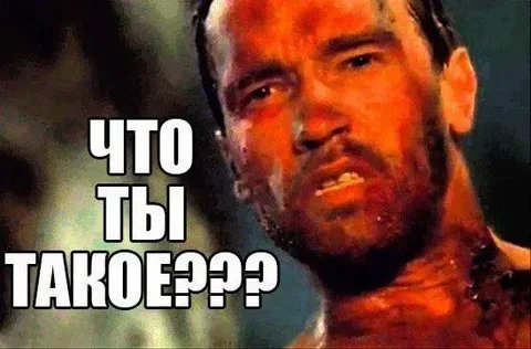 _kastet's tweet photo. @mischkus1 https://t.co/29J3XiZltn