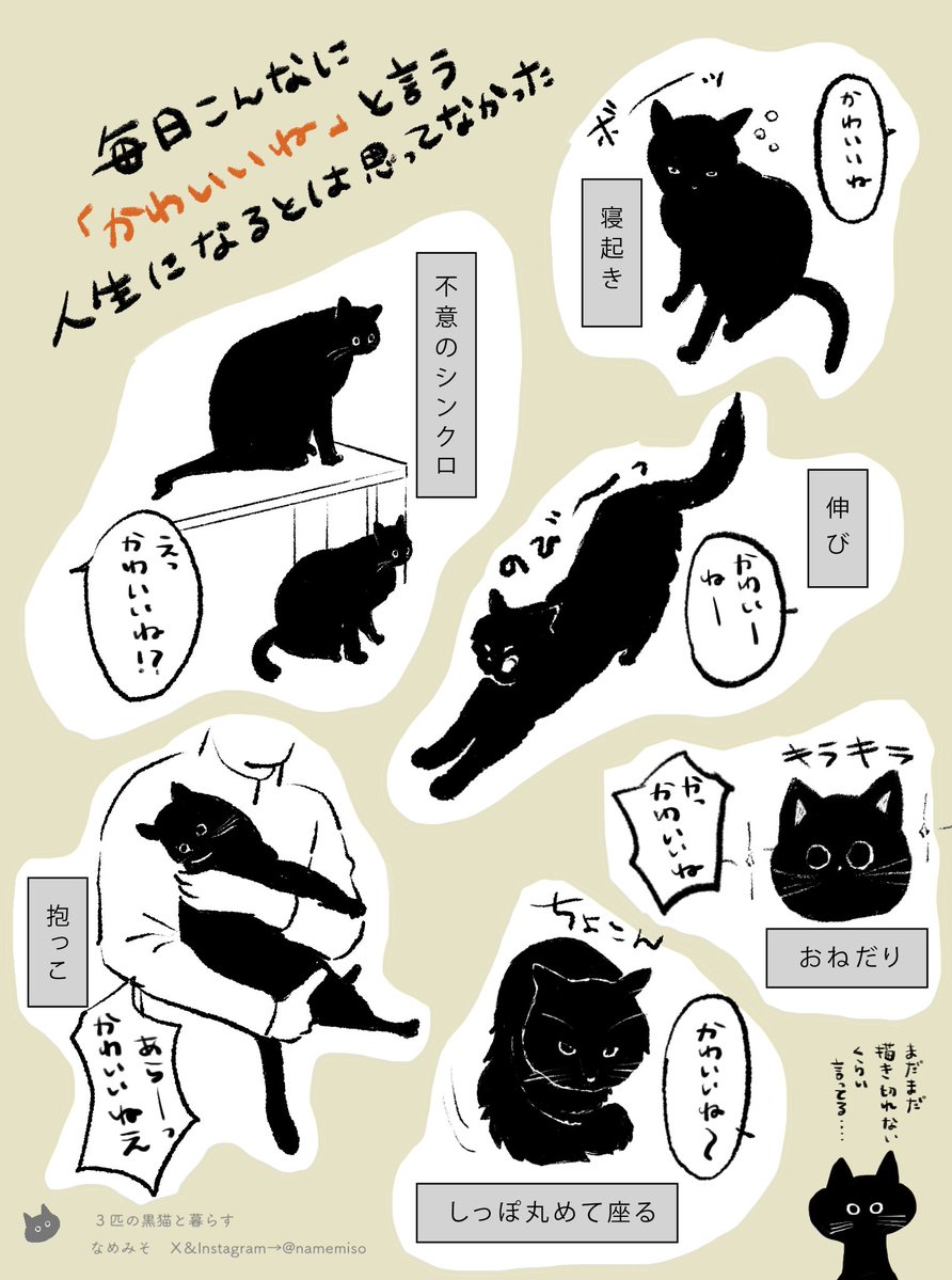 namemiso's tweet image. 「毎日こんなに かわいいね と言う人生になるとは思わなかった」

かわいいねの蛇口がおかしくなって気がつくと垂れ流すように言っています

#3匹の黒猫と暮らす