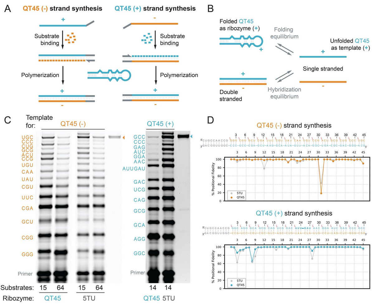 Carlos Briones tweet media