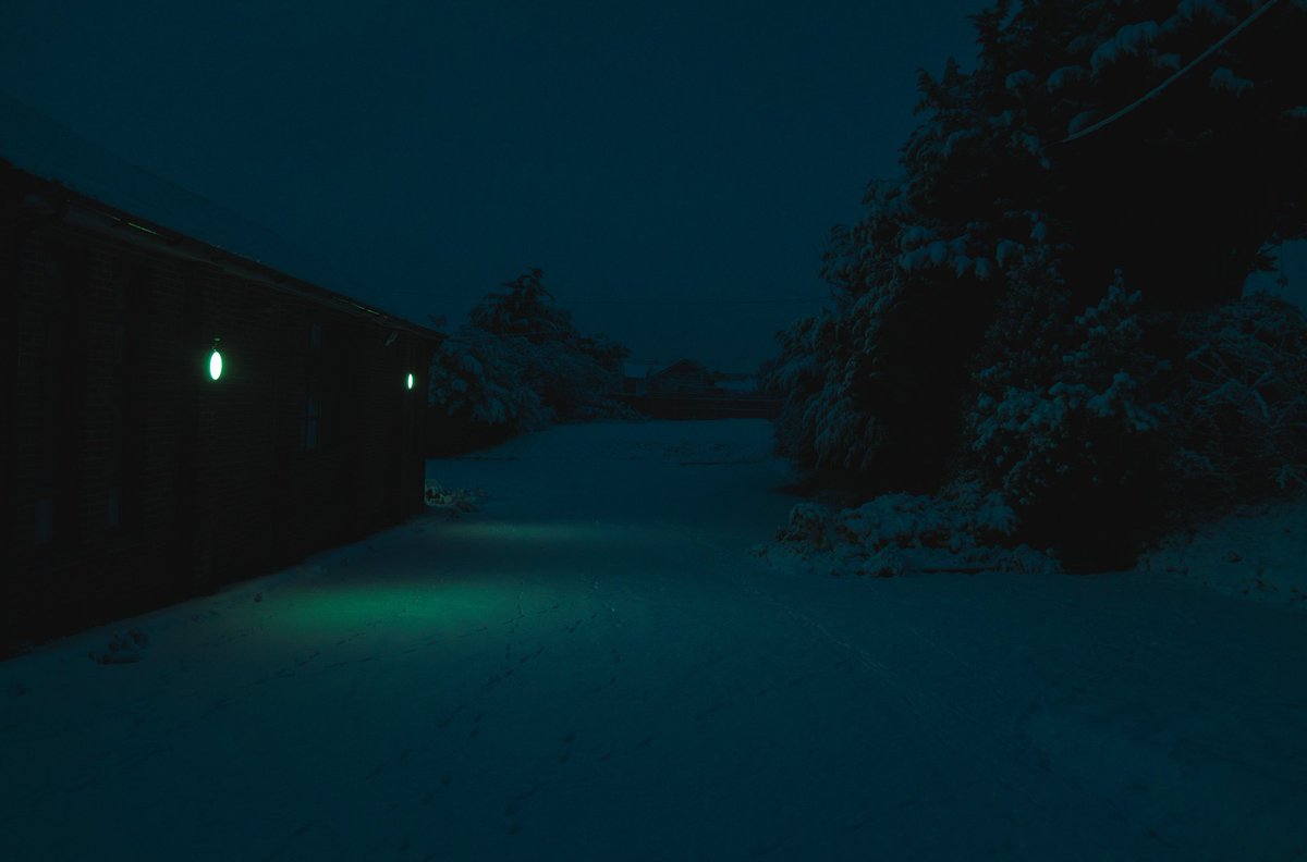 moon in the cold ― 
only my own footsteps 
on the bridge
        
Tan Taigi 

blooming sound
of camellia—
on snowy night

me