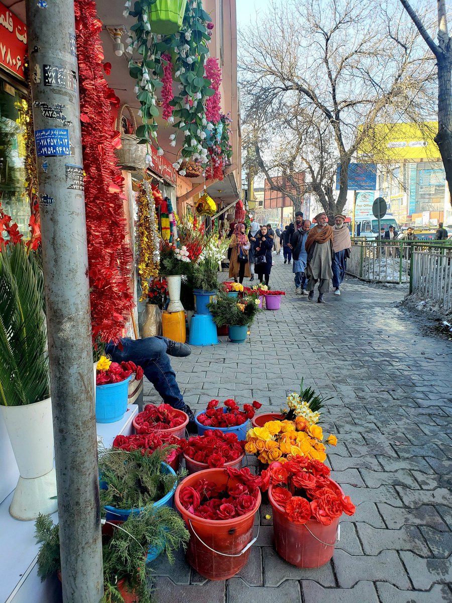 Donneso1's tweet photo. Happy Valentines Day 💌 #Kabul https://t.co/g9nba0E2k6