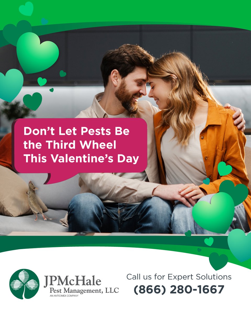 JP McHale Pest Management LLC tweet media