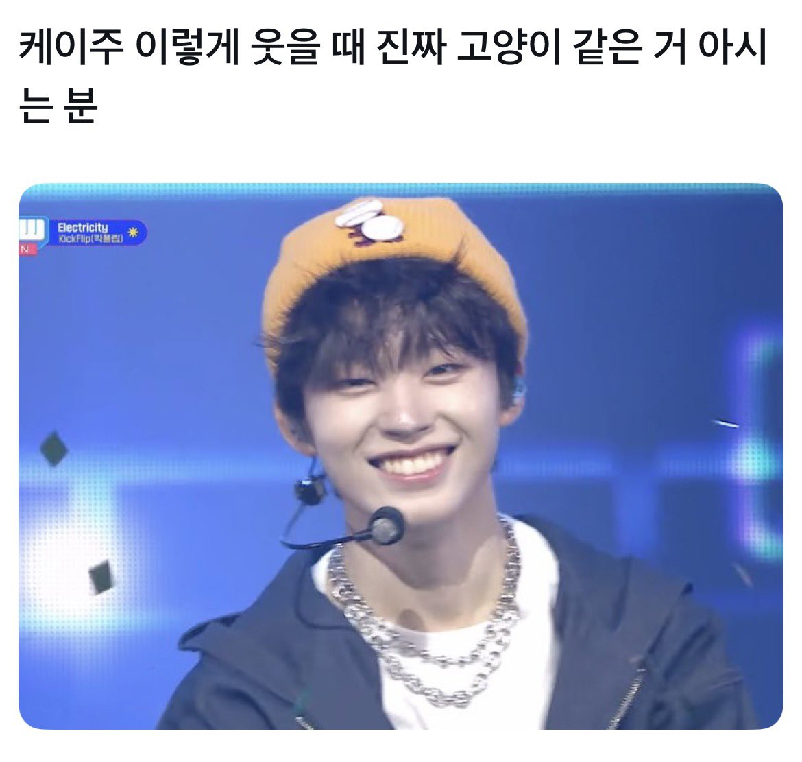 고양이수염까지 봤어