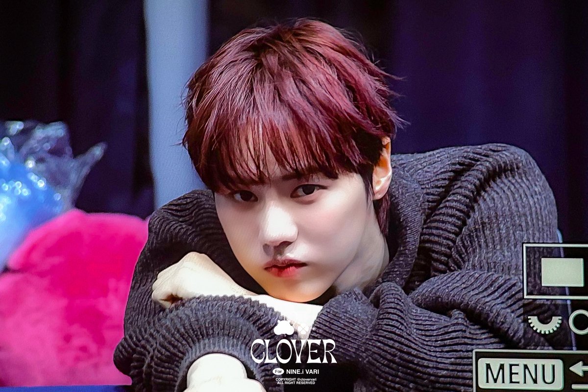 𝐂𝐥𝐨𝐯𝐞𝐫 tweet media