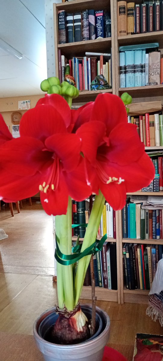 Heikkiolavi1's tweet photo. @marcusdessau Happy Valentines Day Marcus https://t.co/KJU0k9juuM