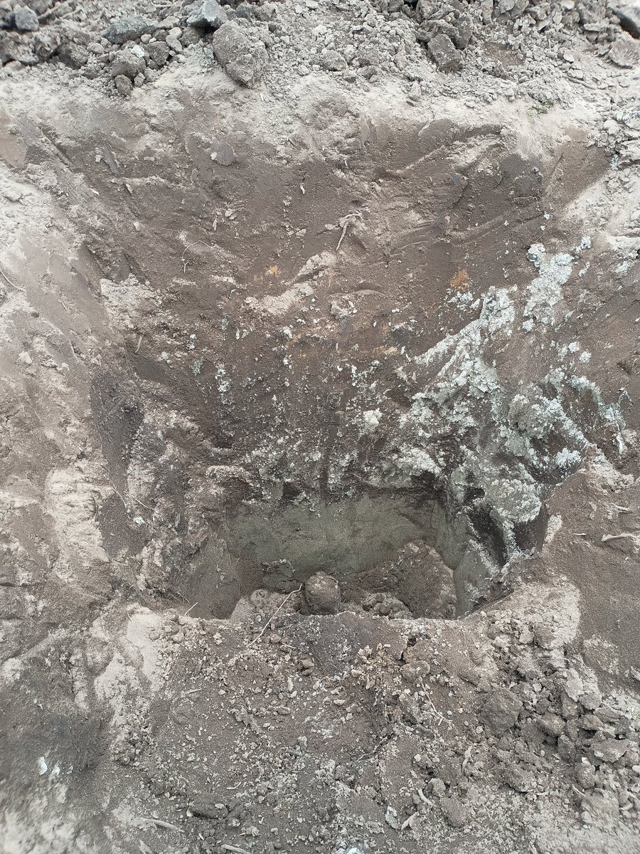 先日掘りに行った圃場。 水の抜けが良くないとのことでご開帳させて