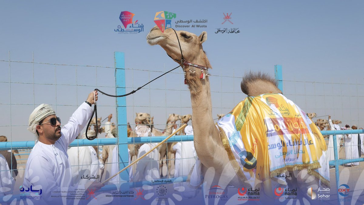 AlWustaWinter's tweet photo. تكريم الفائزين في اليوم الأول من مهرجان المزاينة ضمن فعاليات #شتاء_الوسطى تكريمٌ يُتوّج جهود المشاركين ويحتفي بأجمل السلالات وأقواها حضورًا في ميدان وادي السيل بولاية محوت
@AlwustaGovernor 
@OmanCamel_RF https://t.co/Ic6A8VNmIR